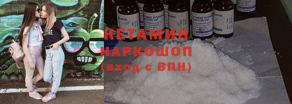 стаф Аркадак