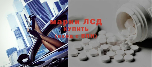стаф Аркадак