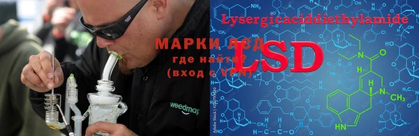 индика Костерёво