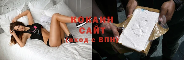 прущие грибы Арсеньев
