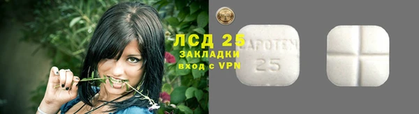 стаф Аркадак
