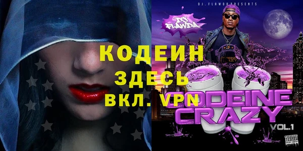 прущие грибы Арсеньев