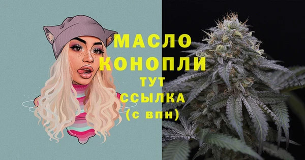 стаф Аркадак