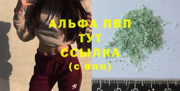 прущие грибы Арсеньев