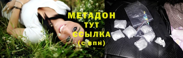 прущие грибы Арсеньев