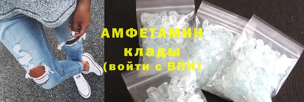 стаф Аркадак