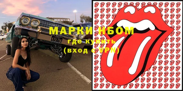 стаф Аркадак