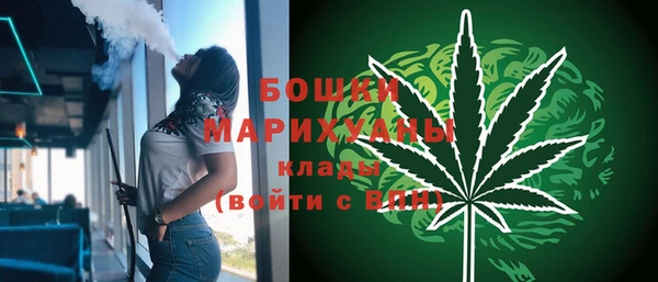 стаф Аркадак