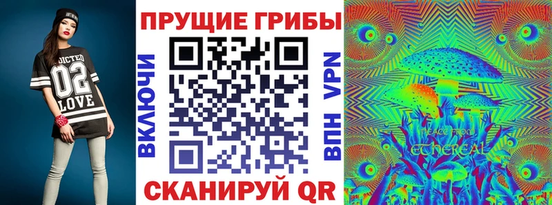 Галлюциногенные грибы Psilocybine cubensis что такое Старая Купавна