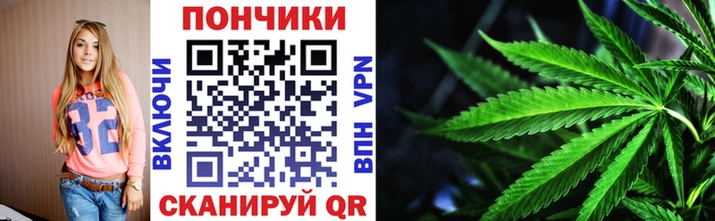 MEGA онион Старая Купавна Марихуана Amnesia